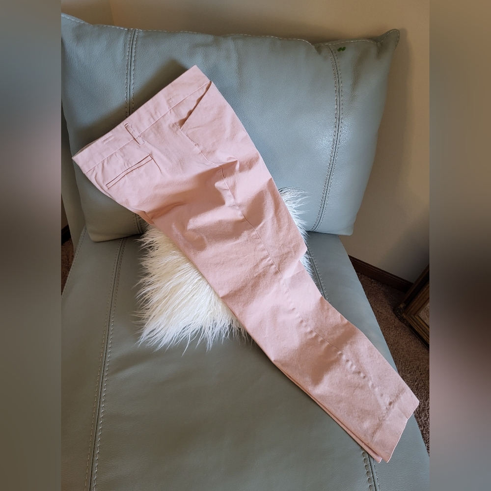 Light Pink Ankle Pants, Worthington Sz. 10